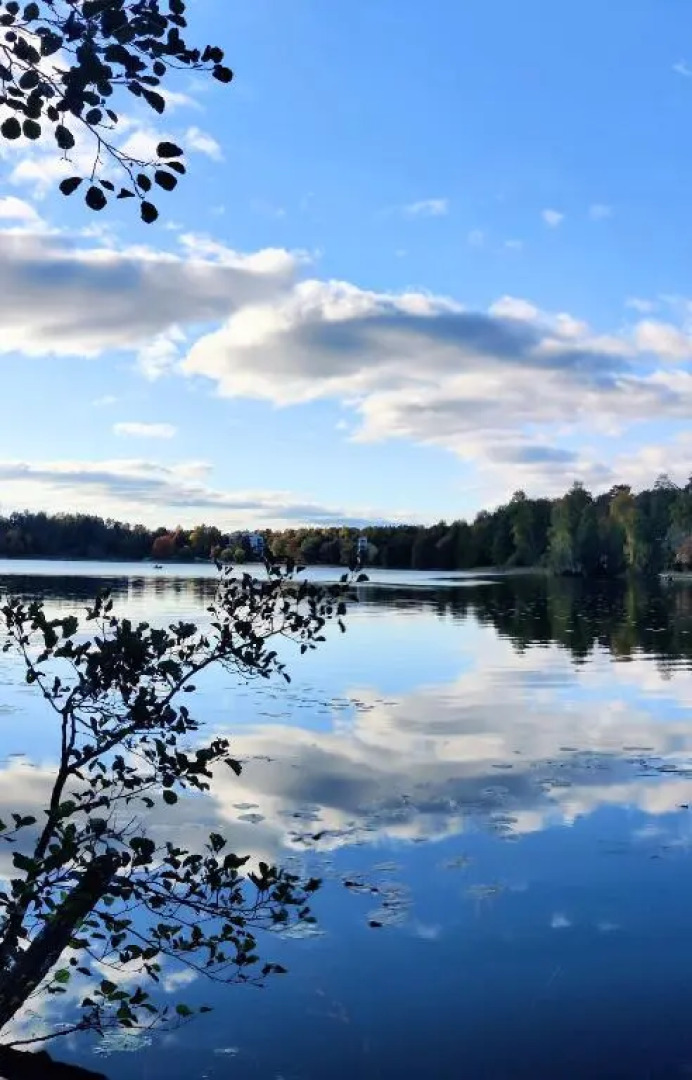 Joutjärven Studio Apartment