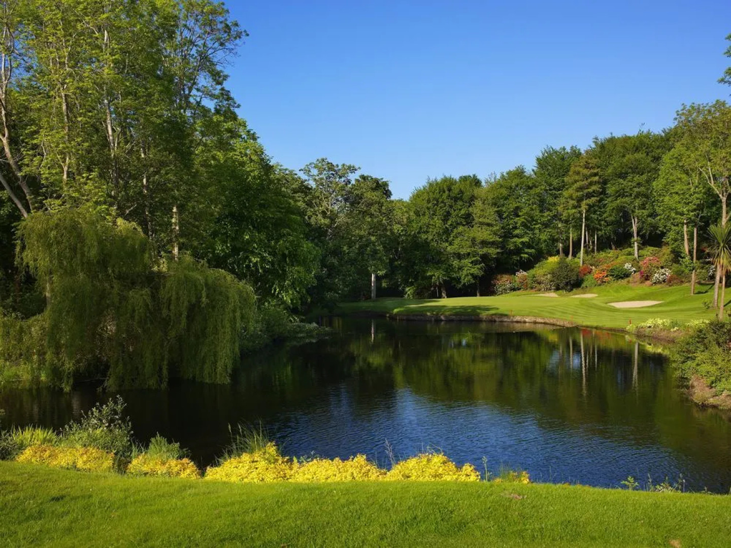 Druids Glen Hotel & Golf Resort