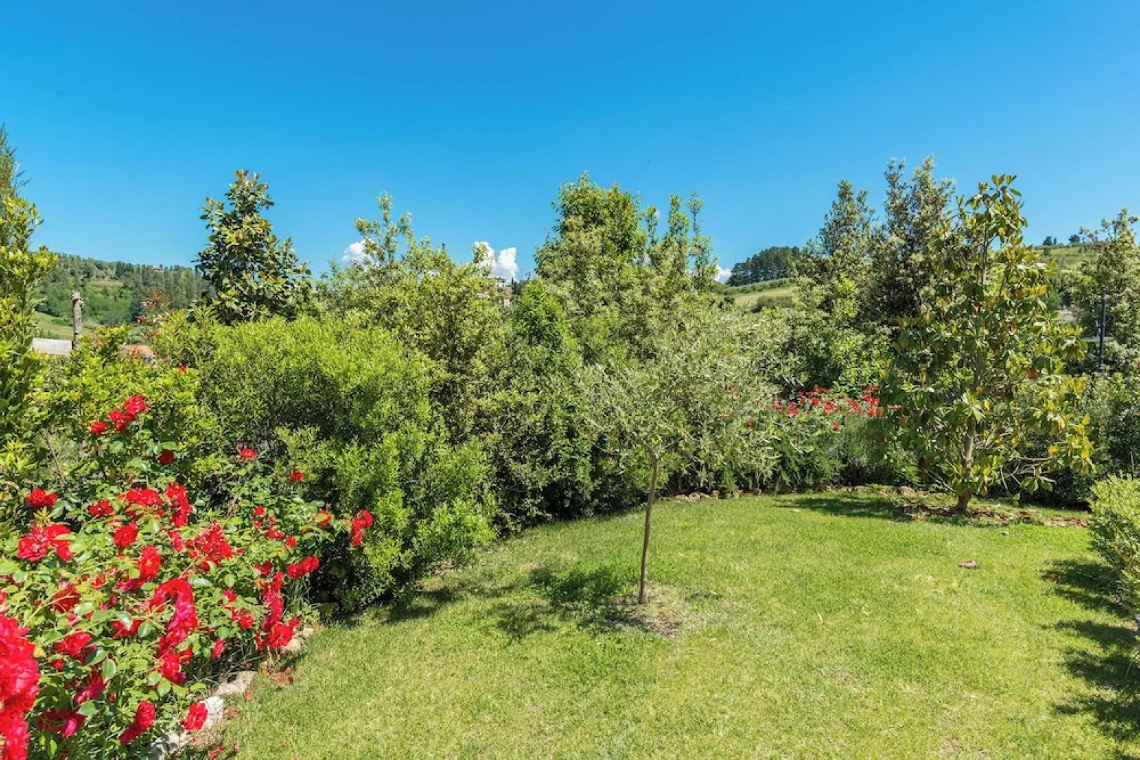 Wonderful Family Suite in Tuscany Near Pisa and Florence - Two Bedrooms 4 pl