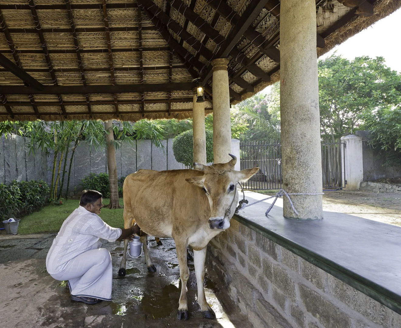 Halez Sparsa Thiruvannamalai