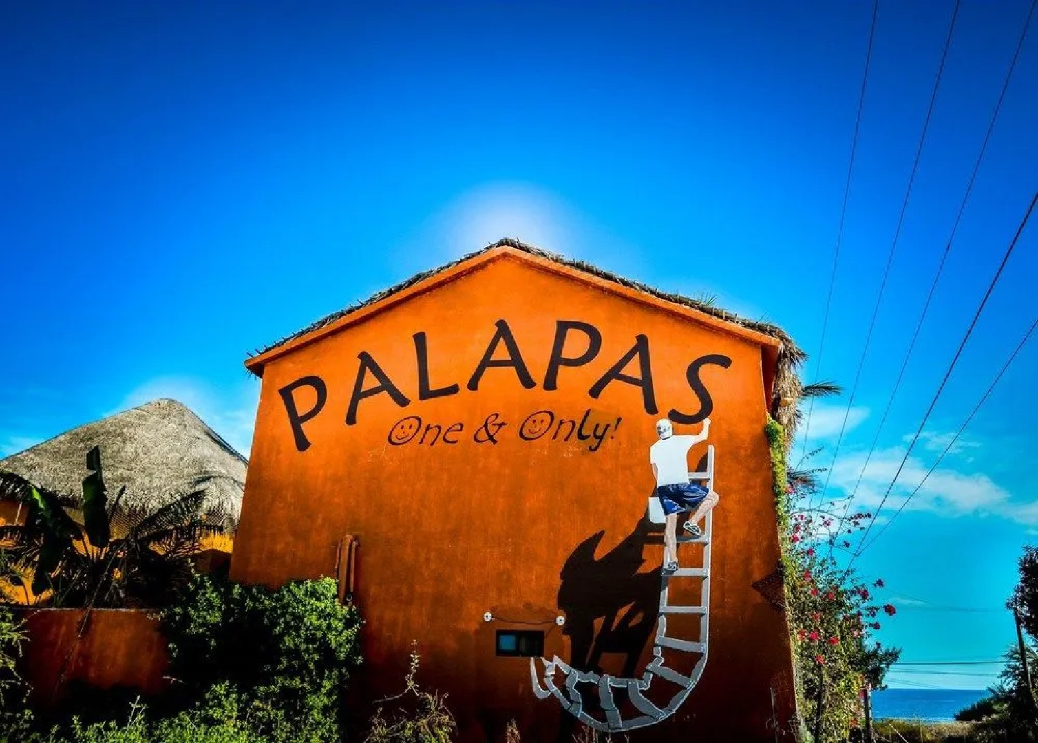 Palapas