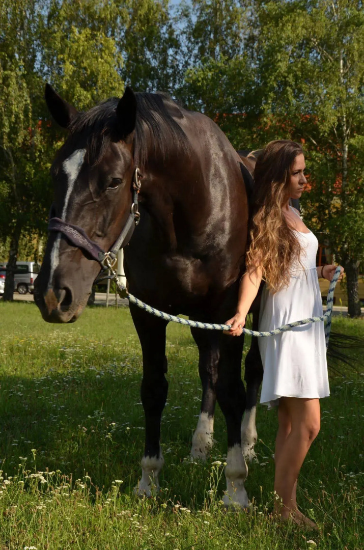 Hotel Plauter Kúria