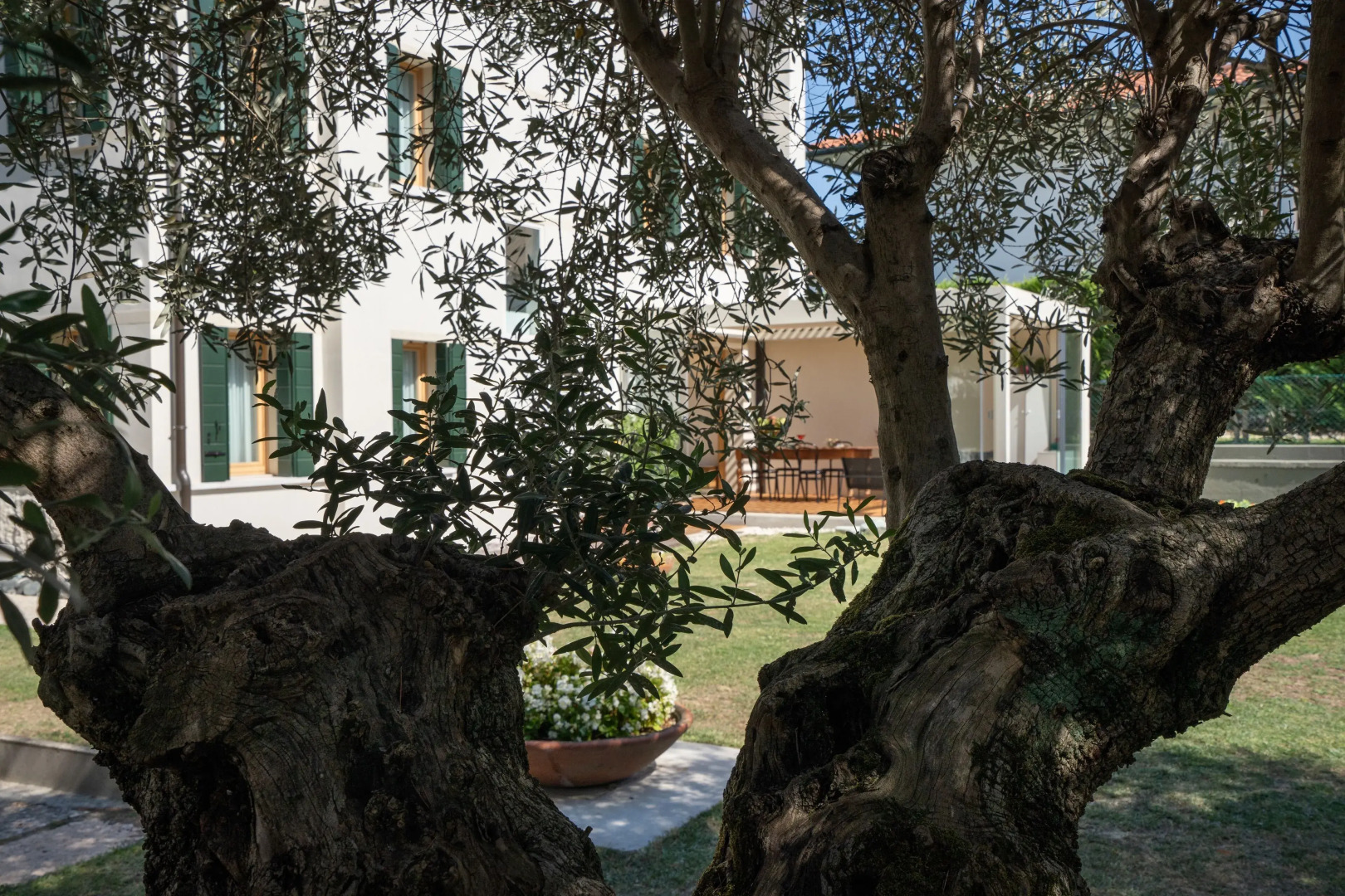 Bed and Breakfast Canalgrande