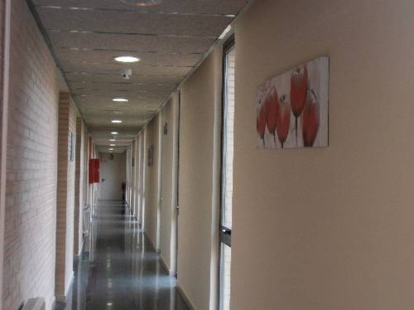 Residencia Universitaria Resa Giner de los Ríos - Hostel