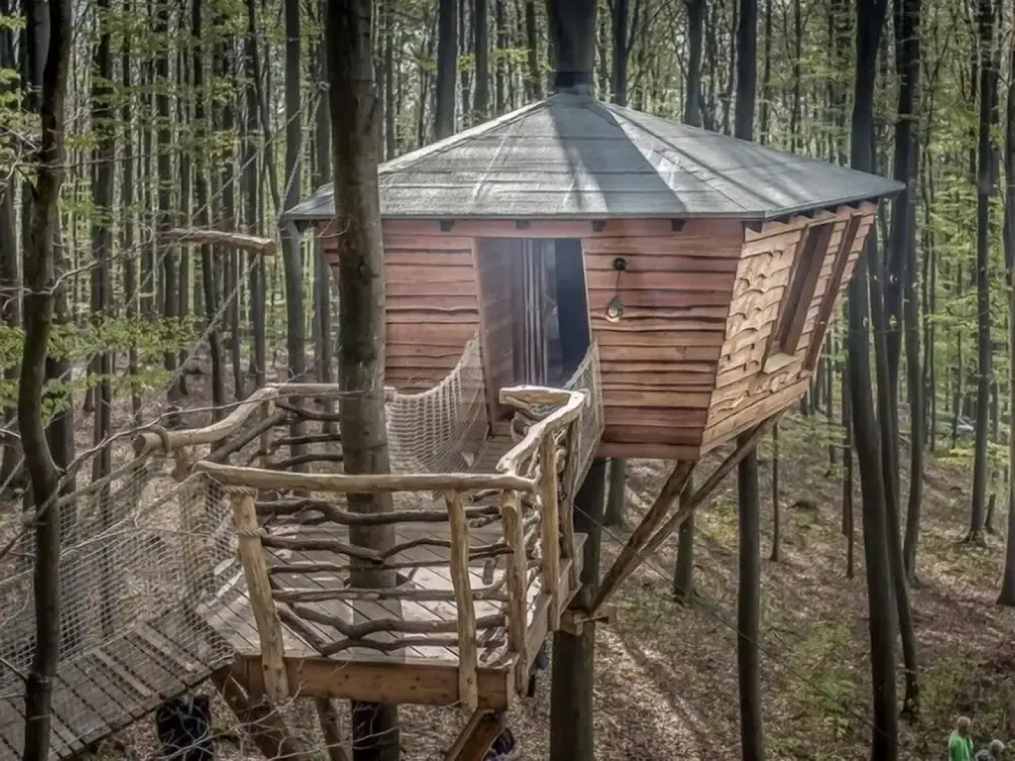 Robins Nest Baumhaushotel