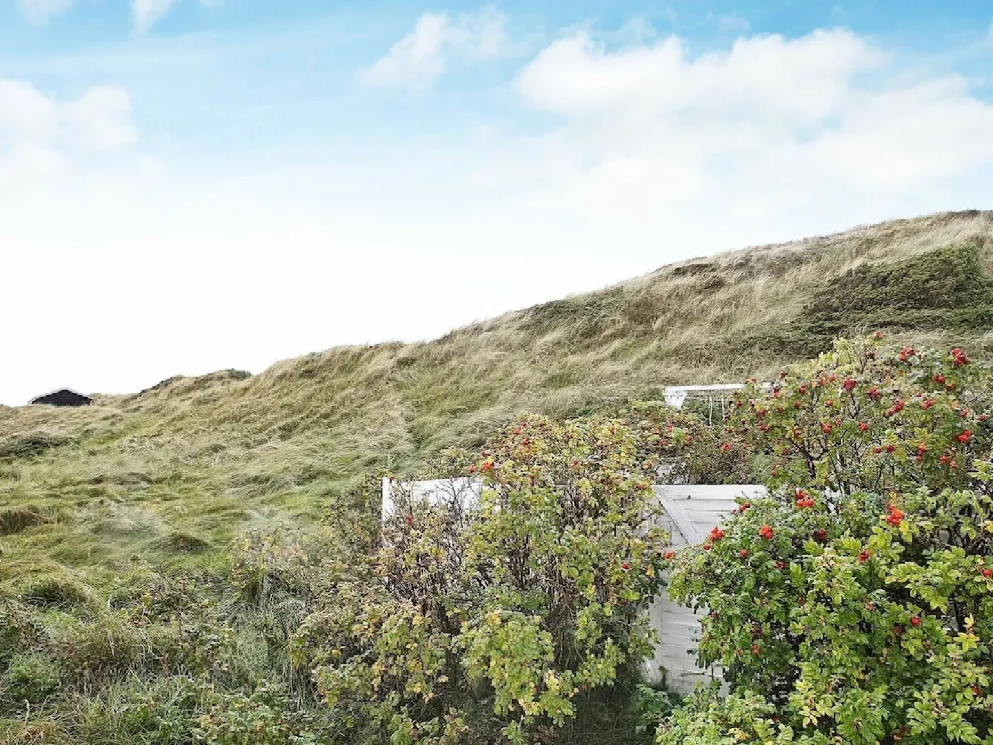 Rustic Holiday Home in Pandrup for 6 People