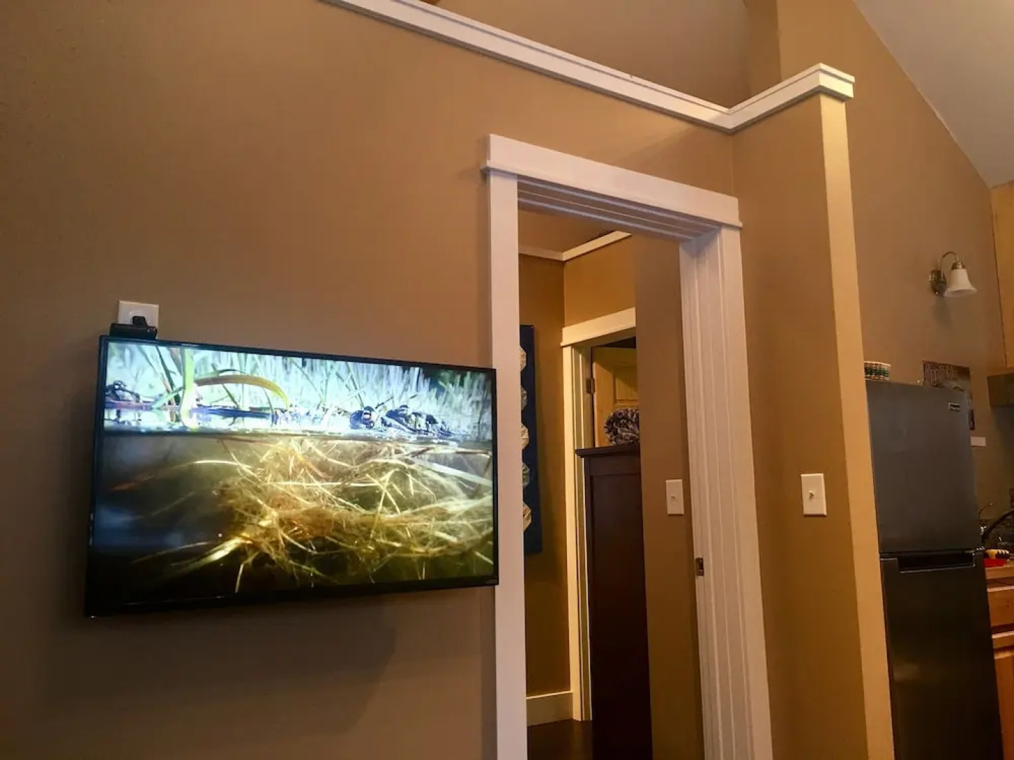 Takleetnas Mount Dall Cottage with Wi-fi and washer/dryer