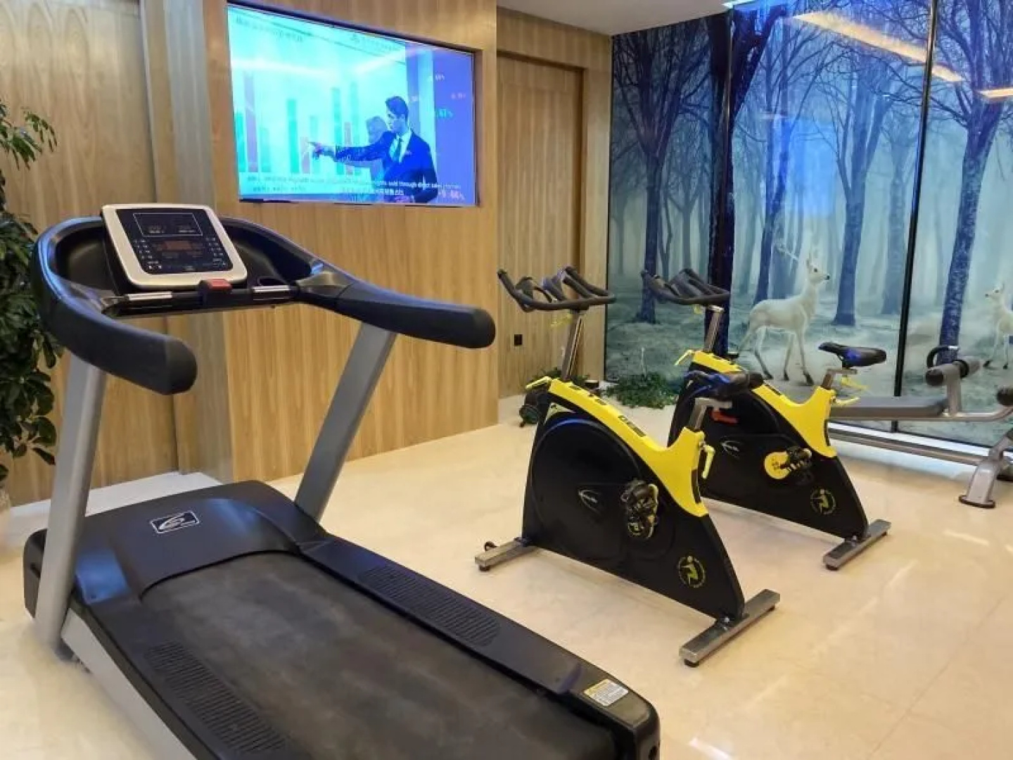 Green Tree Inn Tengchong Rehai Hot Spring Airport