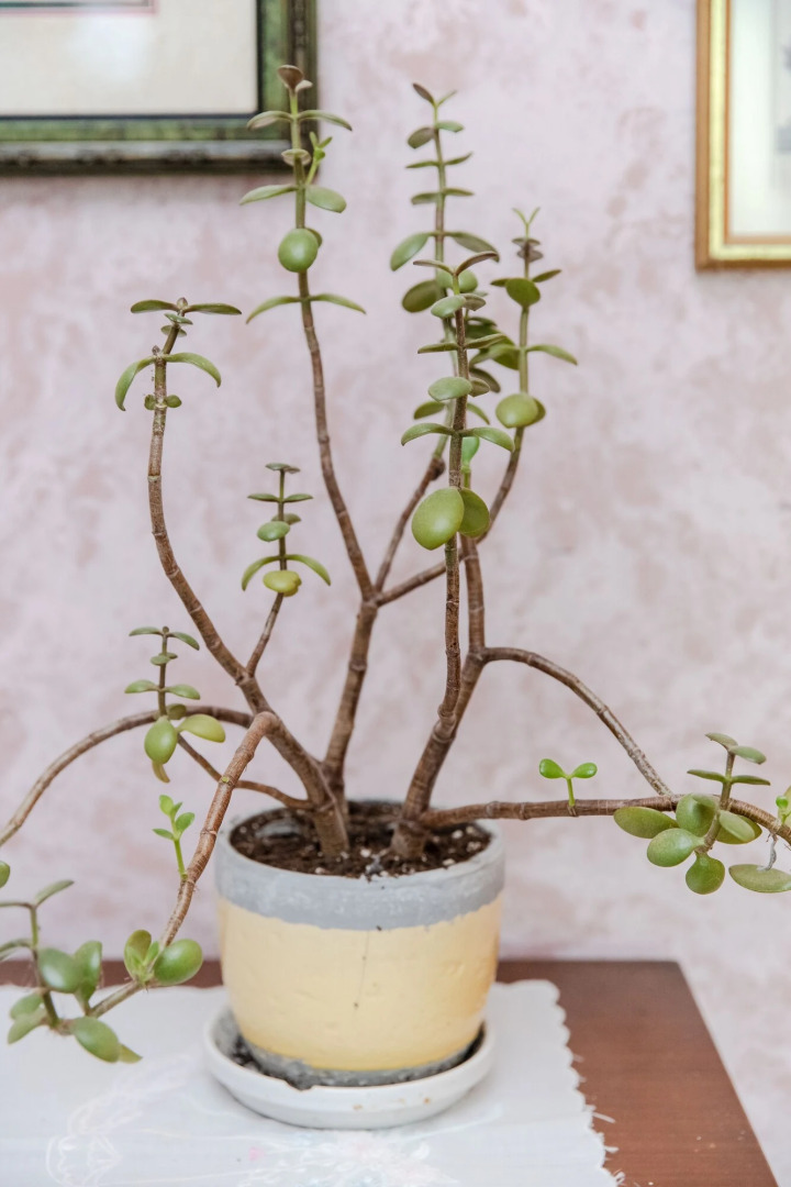 The Mark Addy Bed & Breakfast