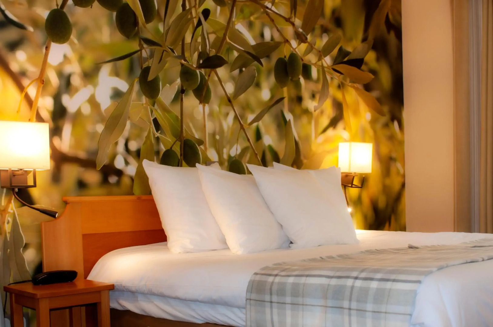 Club Vacances Bleues Domaine de Château Laval