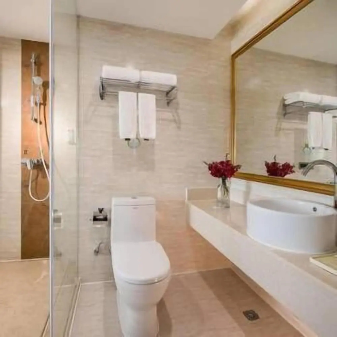 Vienna Hotel Heyuan Hongxing Road Branch