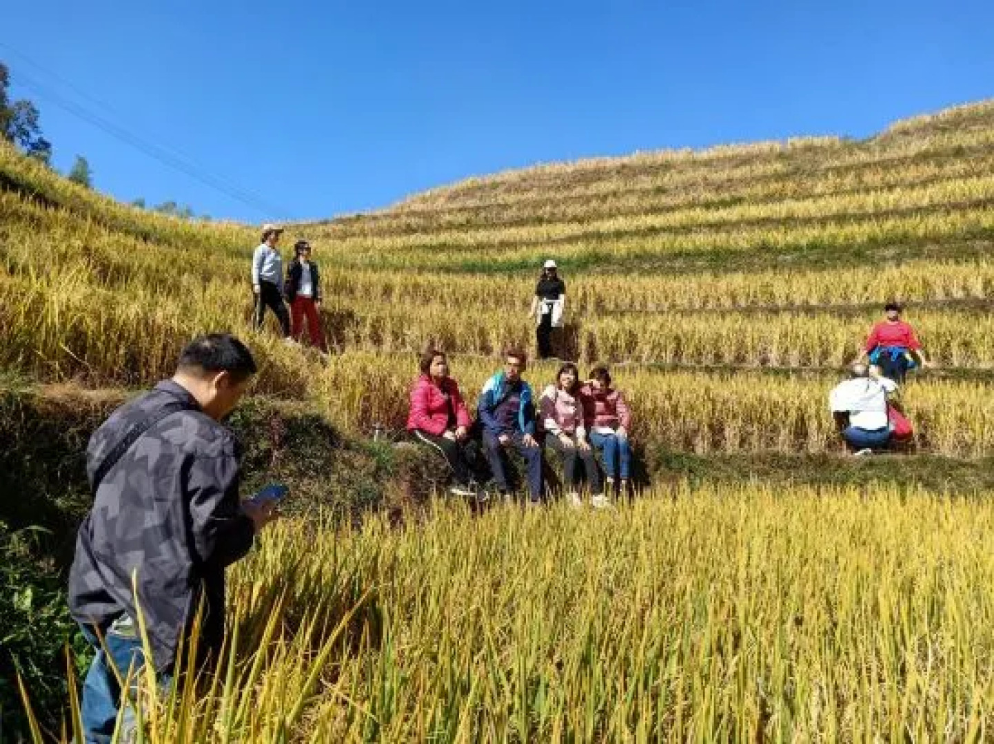 Jinyuan Gelou Homestay