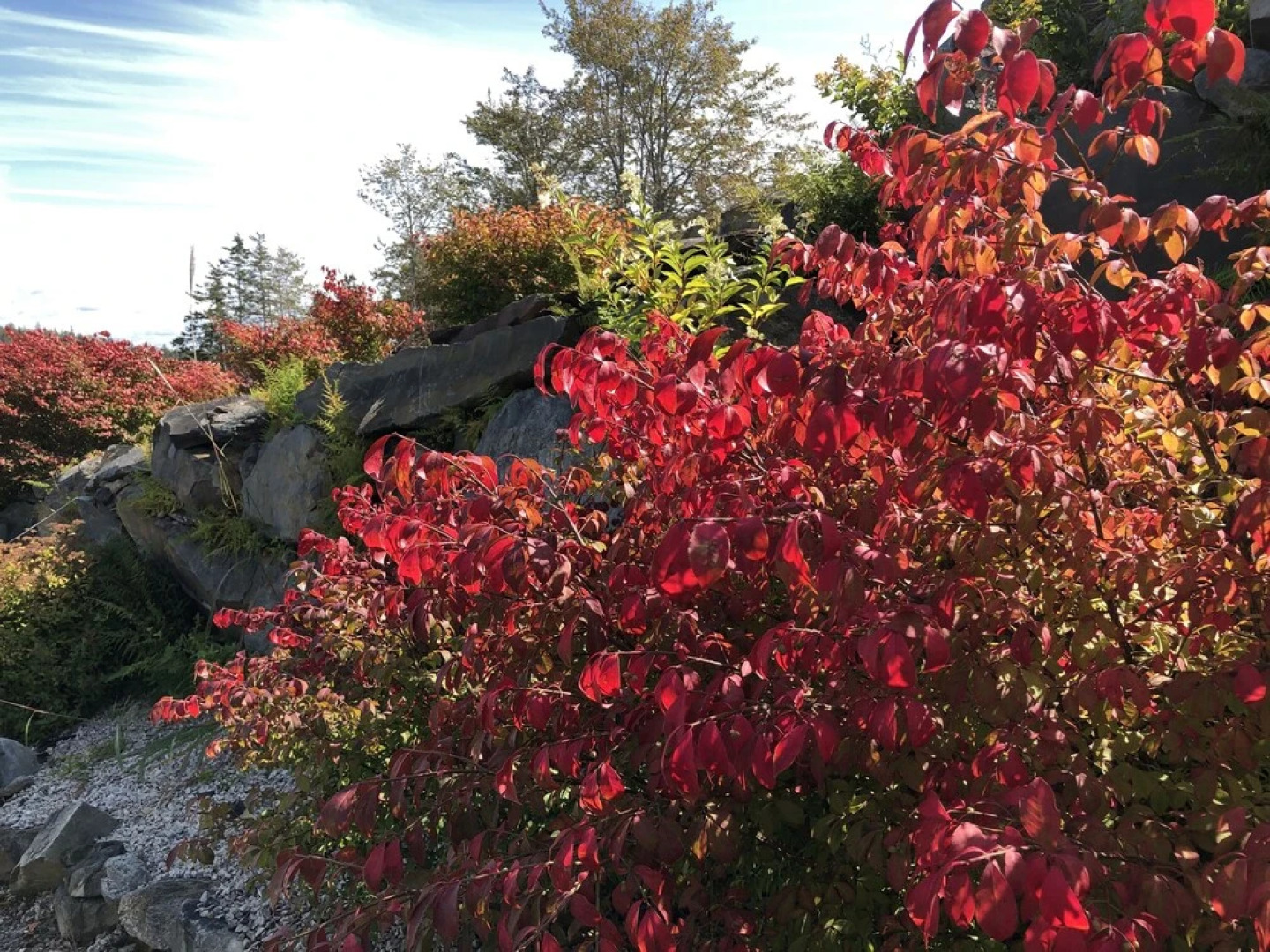 The Lake House Bed & Breakfast