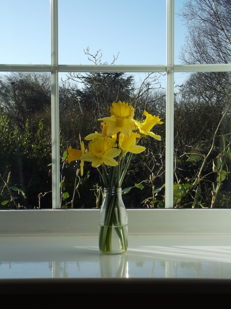 The Old Manor House at North Somercotes