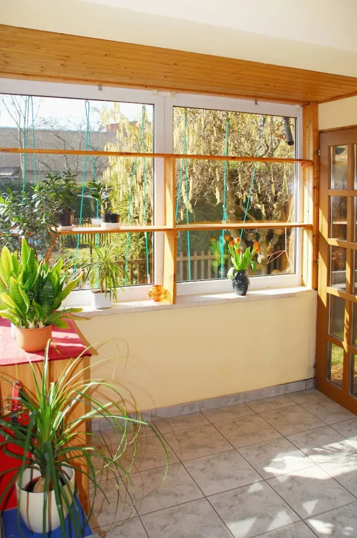 Pension Alter Zausel