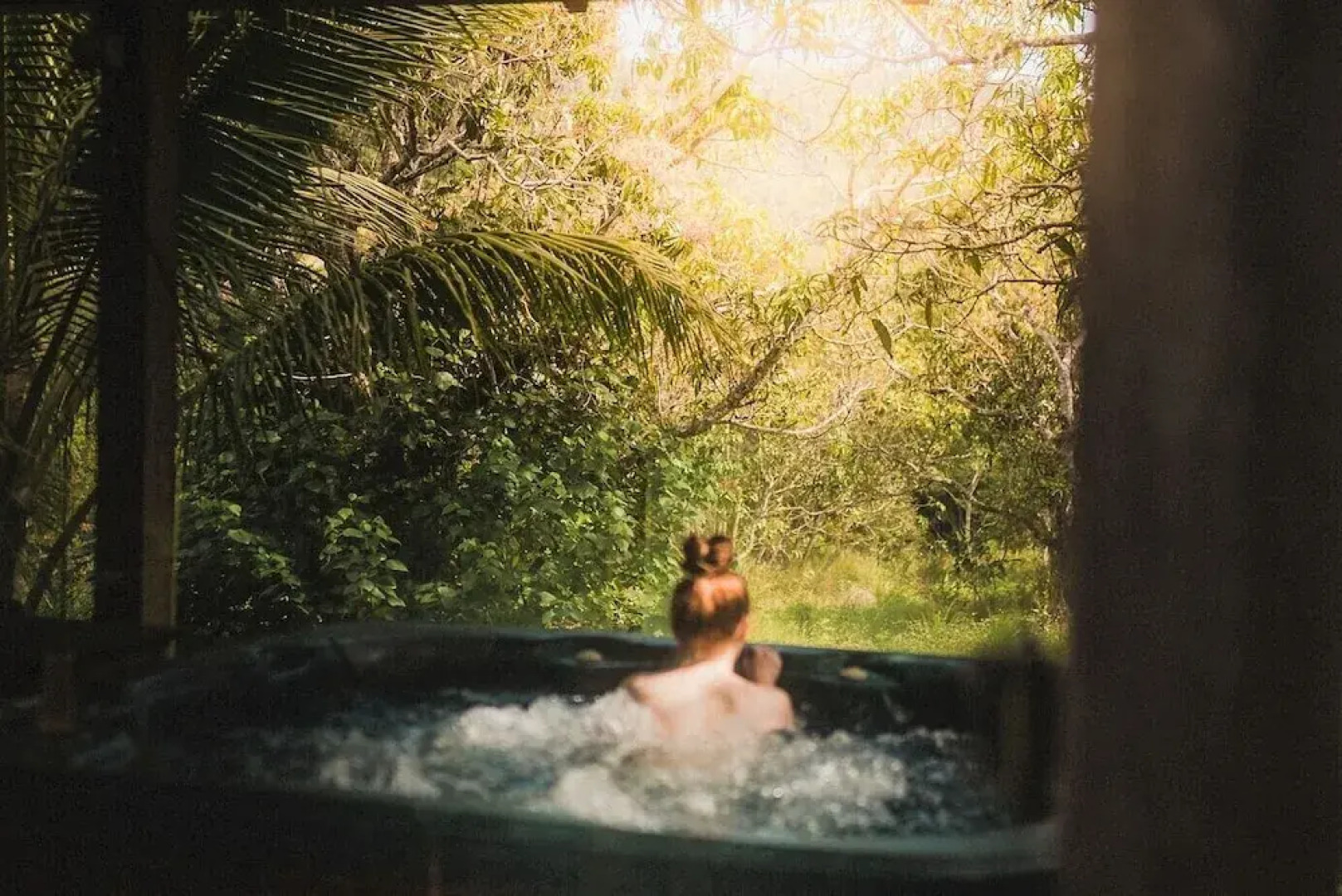 Palm Grove Rainforest Retreat