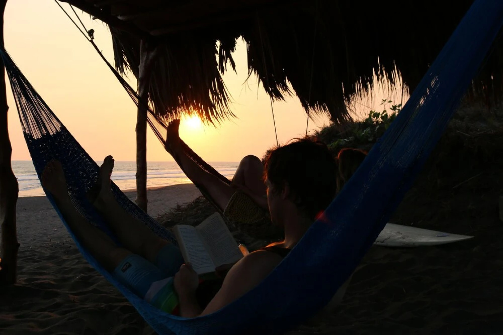 The Driftwood Surfer