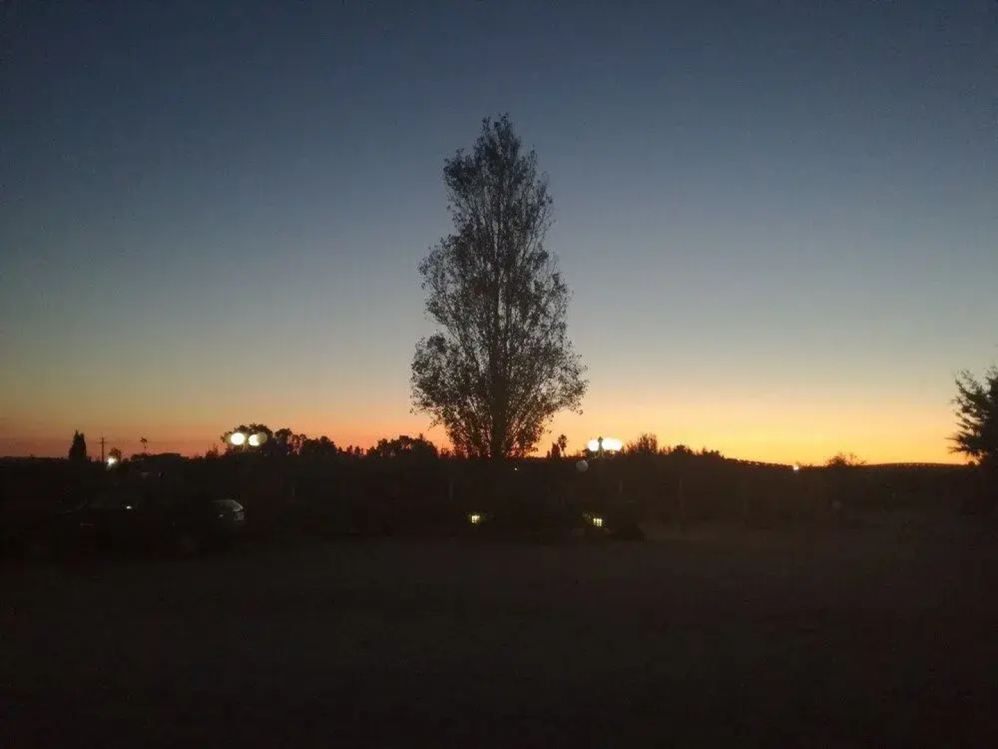 Villa Delle Palme Delfina