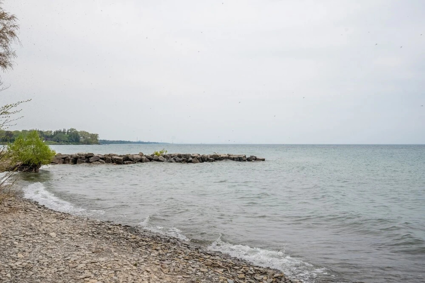 GLOBALSTAY Sunny Basement Brontë park