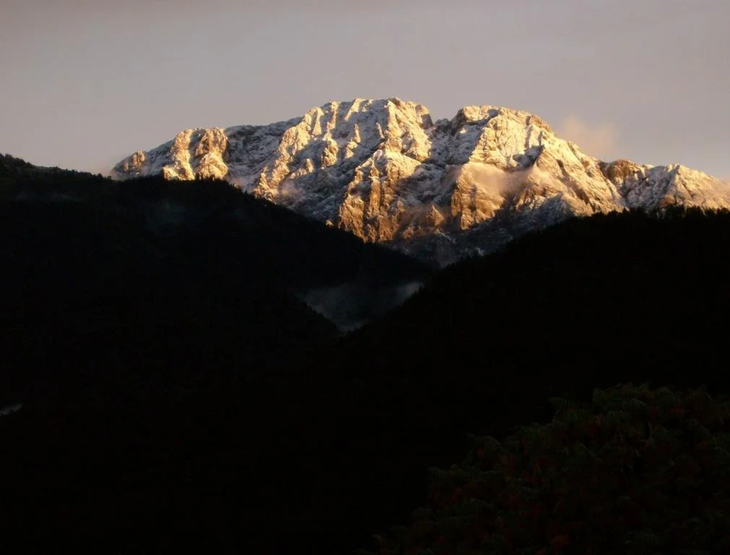 Ferienhaus Schneiderbauer
