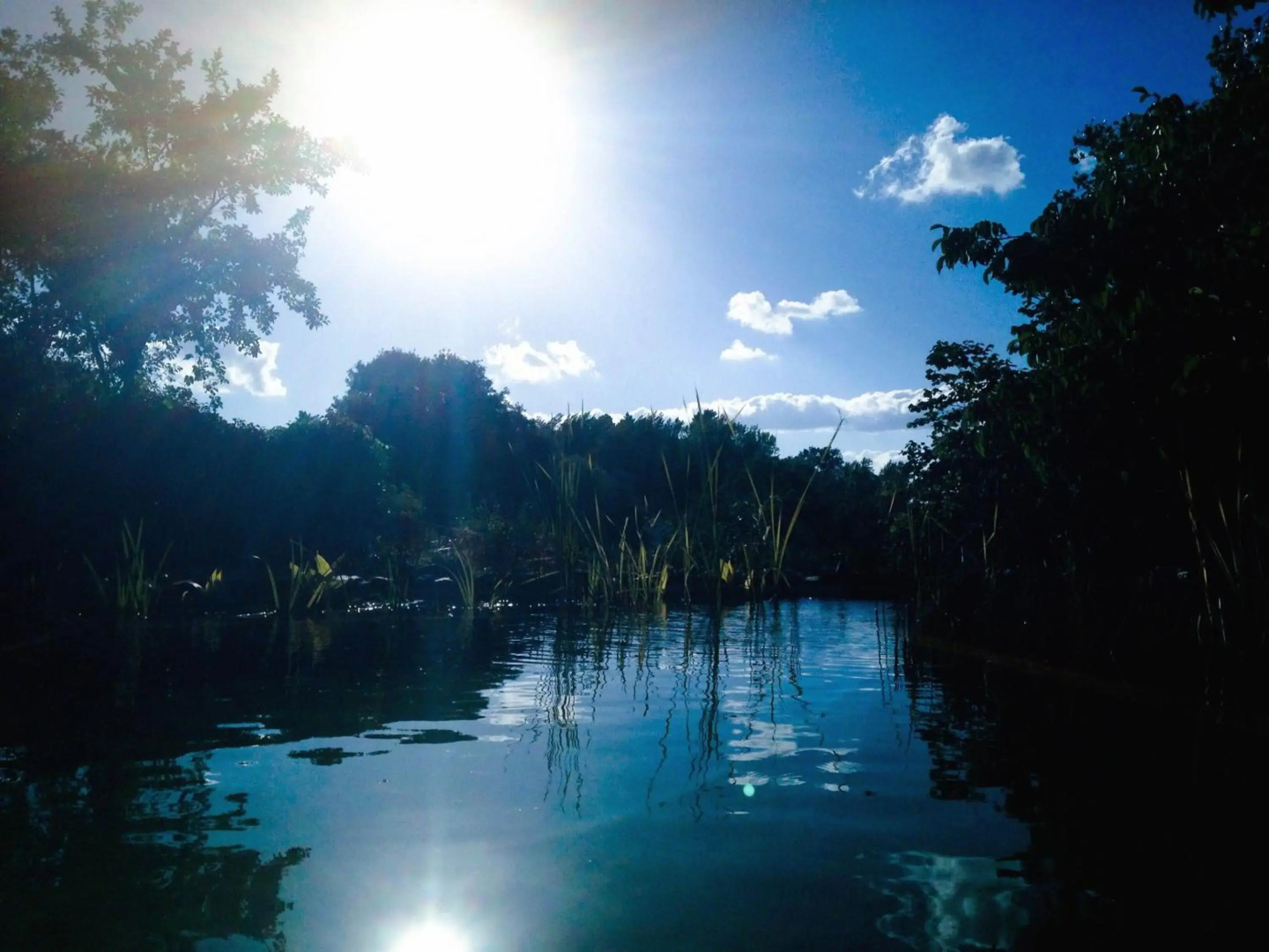 Casas Rurales Camino del Castaño