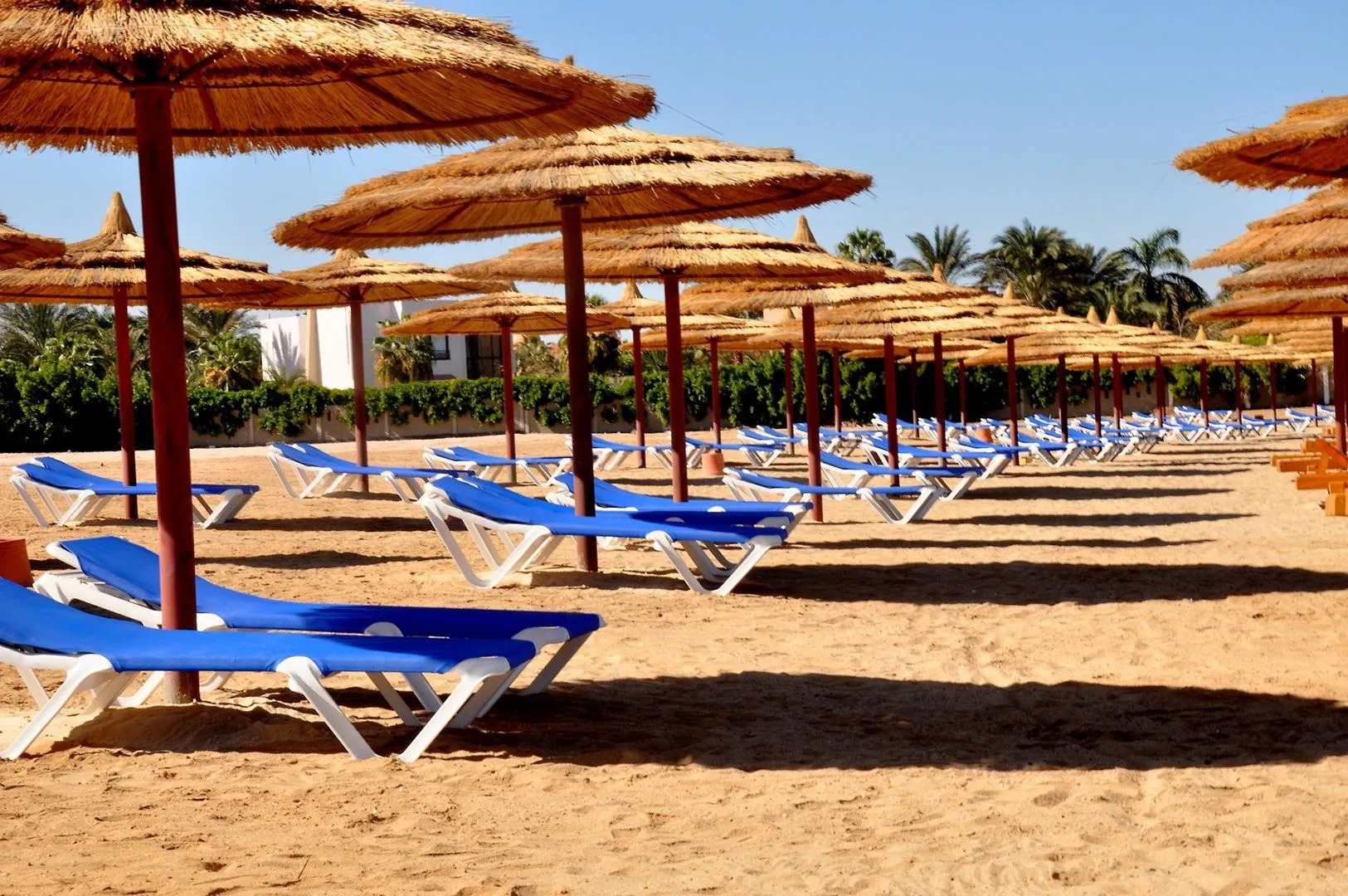 Jasmine Palace Resort & Spa