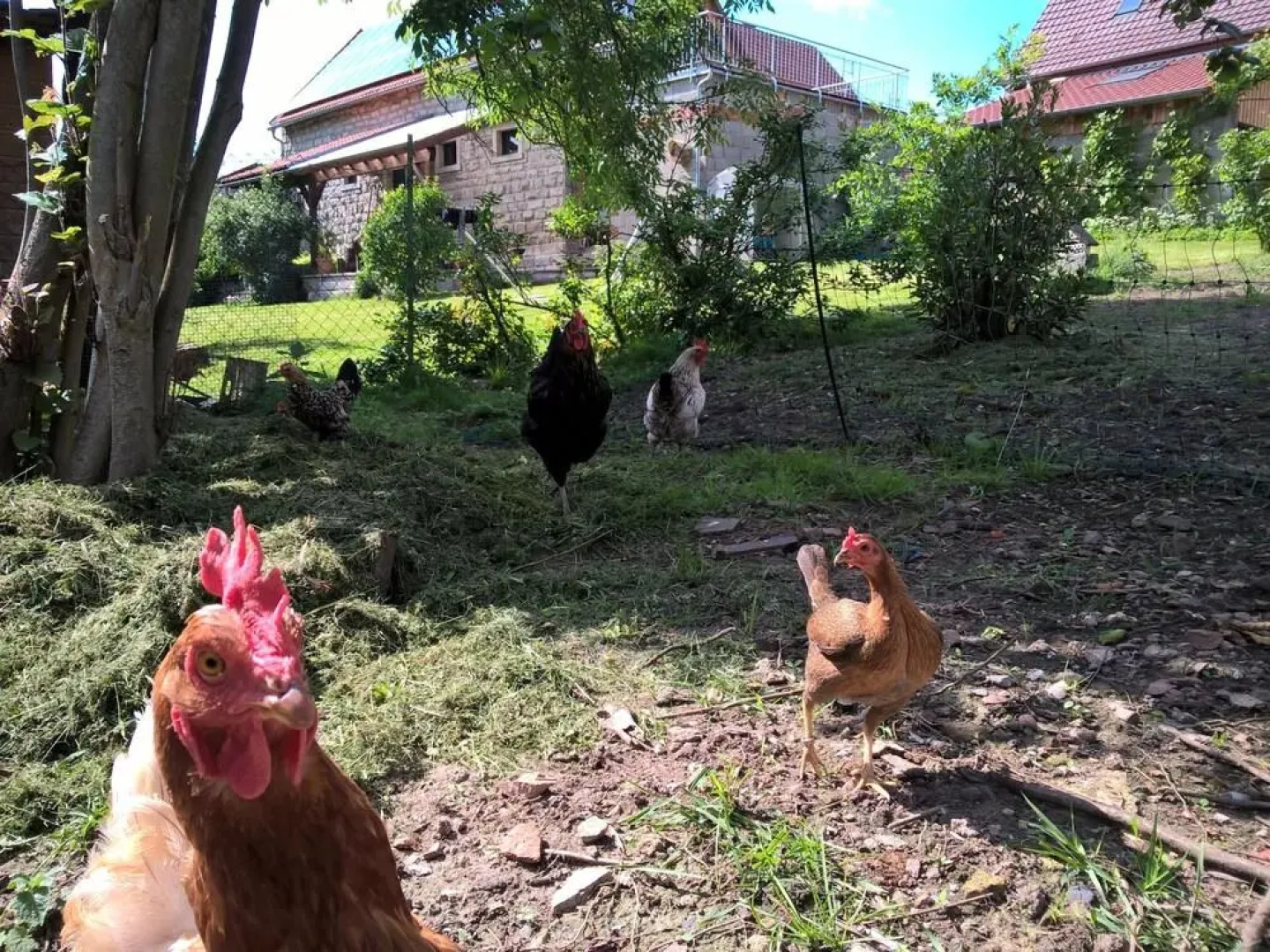 Pension Atelier Reinhart