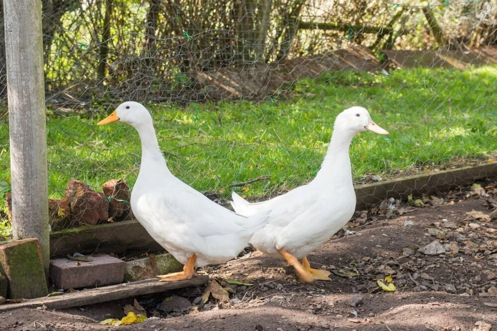 Super Spacious Barn Conversion With Free Wifi, Netflix Fireplace
