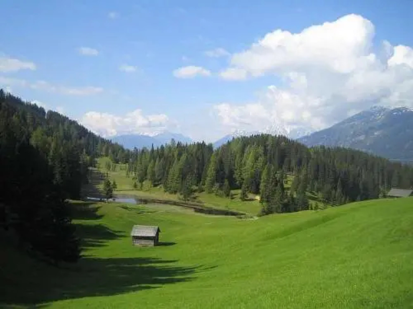 Wirtshaus zum Wiesejaggl