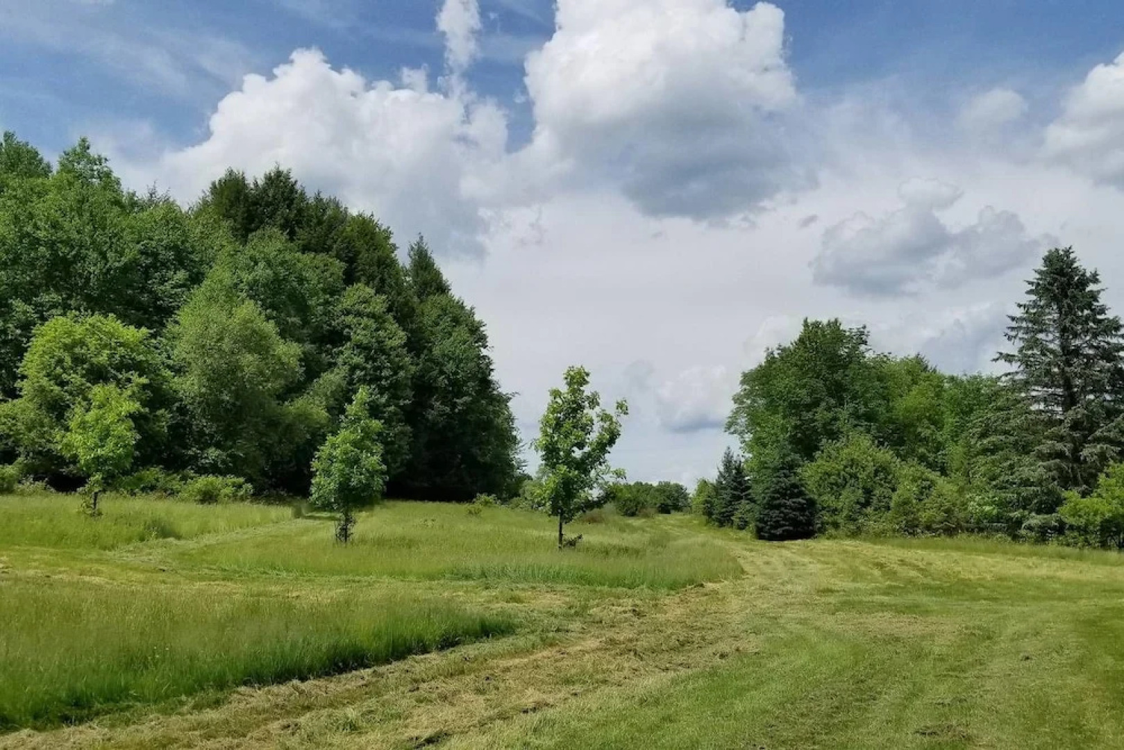 Tentrr - Fields of Dreams at Callicoon