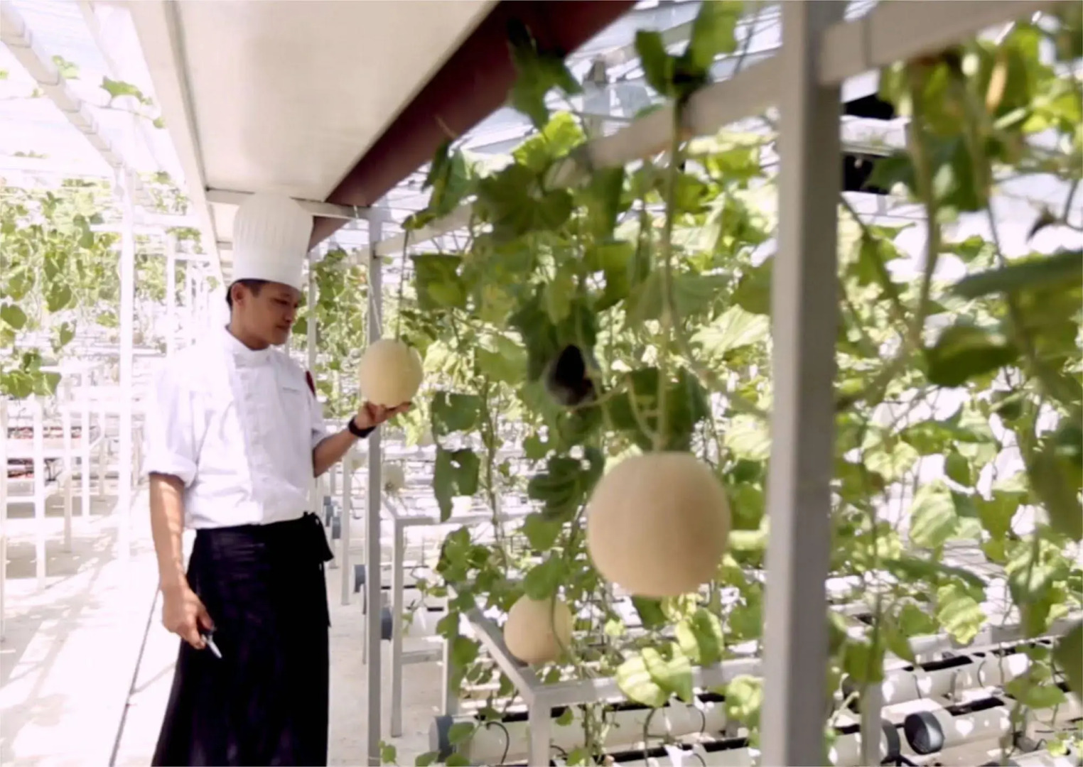 Eastparc Hotel Yogyakarta