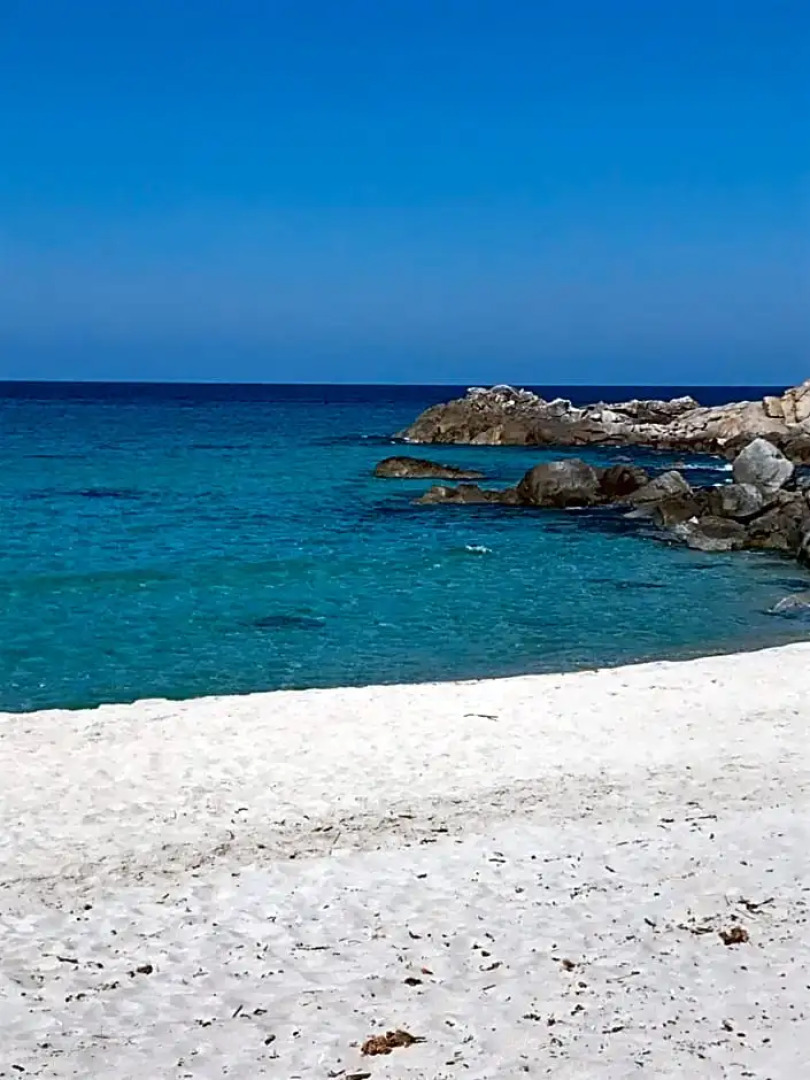 Au pied des oliviers