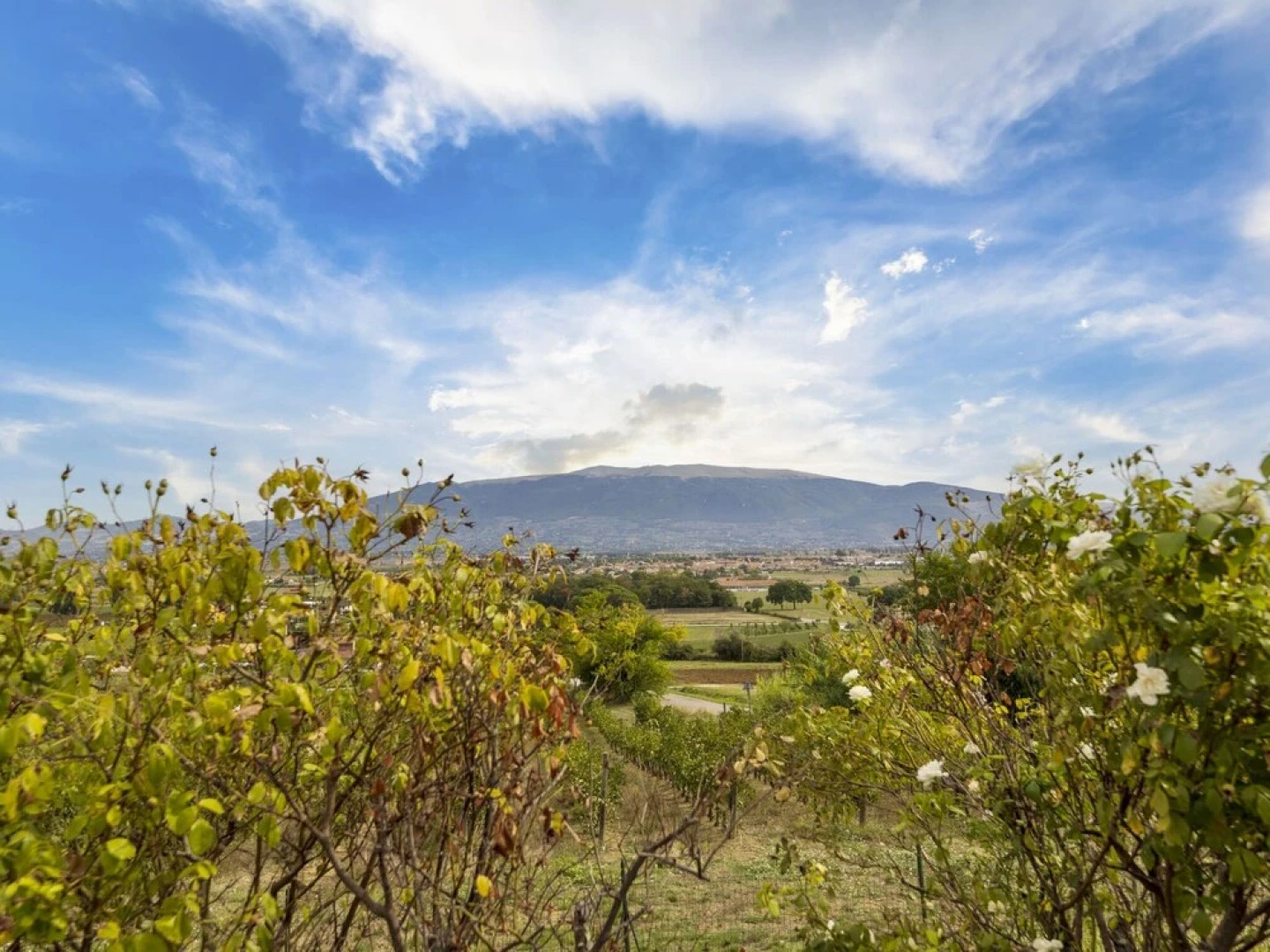 Classic Villa for Family With Pets