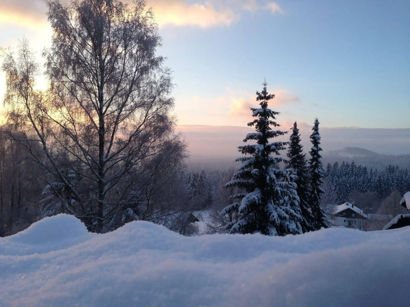 Scottish Highlander Guesthouse