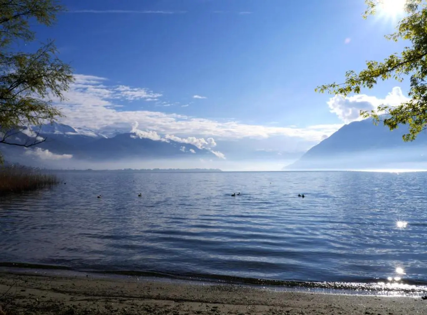 Hotel Villa Emden Isole di Brissago