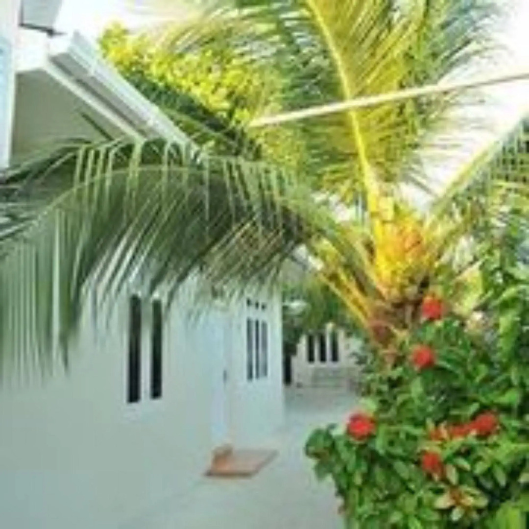 Venus Villa Maldives