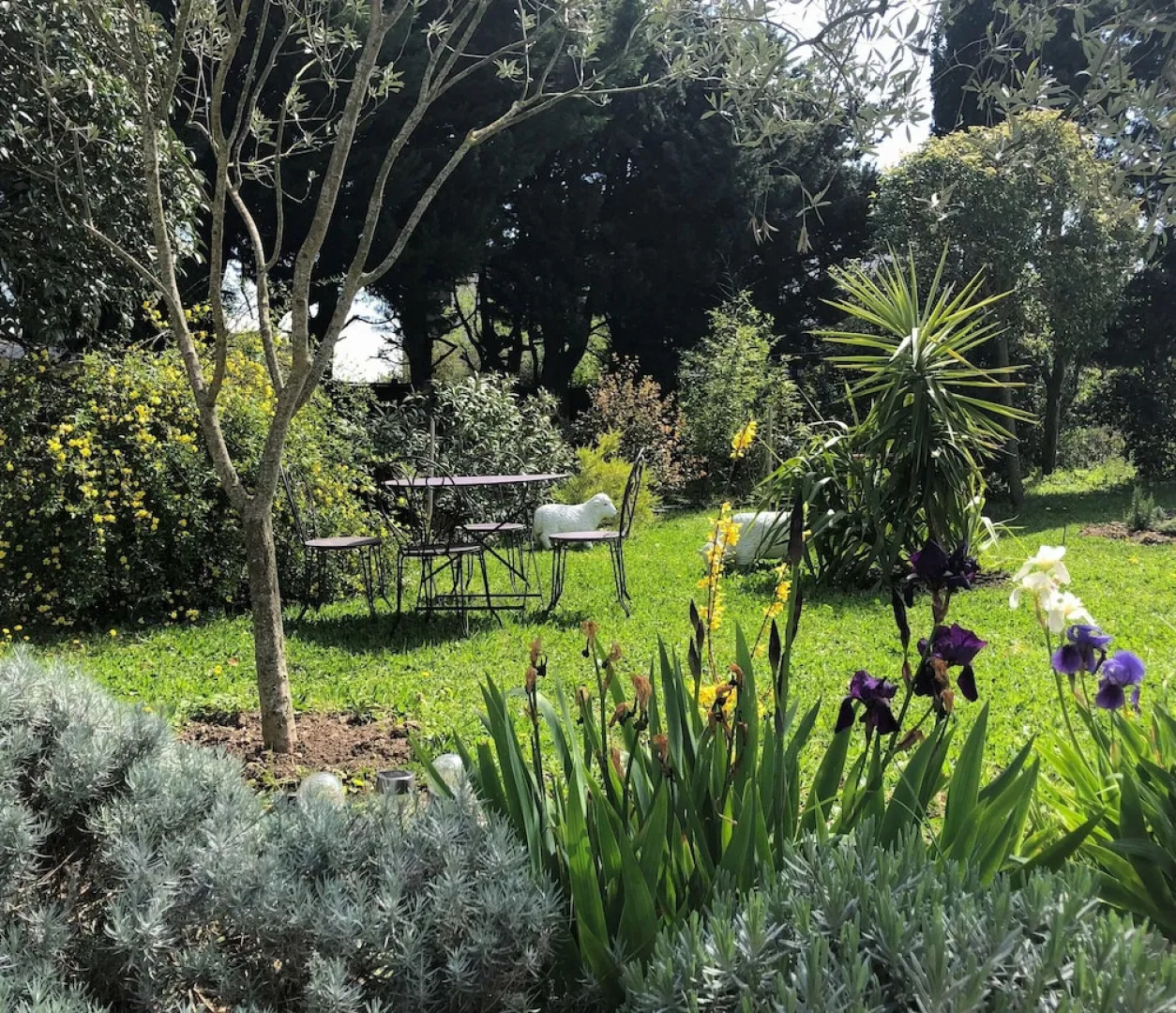 Aux Belles Vacances- Adult Only