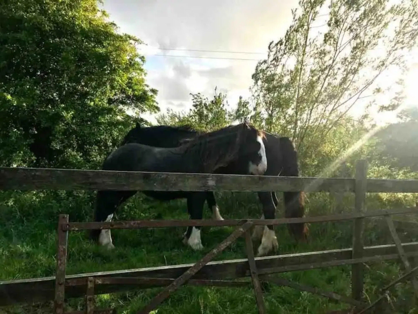 Unique Fairytale Farmhouse Near Galway