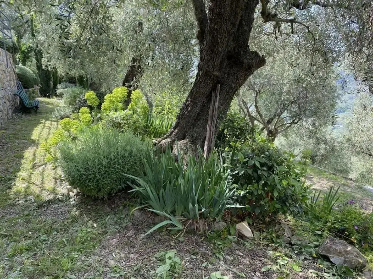 Cosy Apartment in Dolcedo