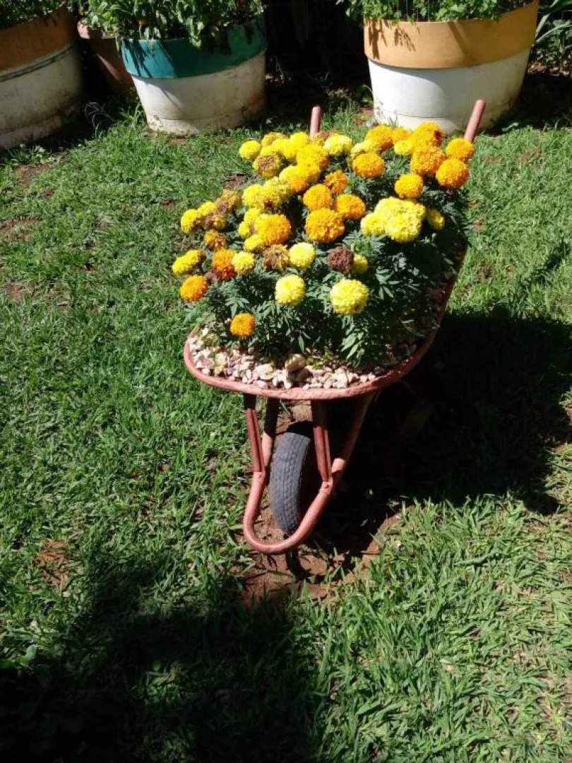 Eco Pousada Jardim Do Eden