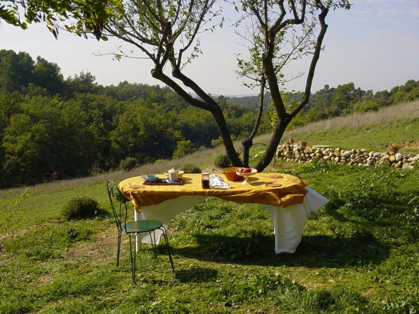 House With 4 Bedrooms in Allemagne en Provence, With Furnished Garden