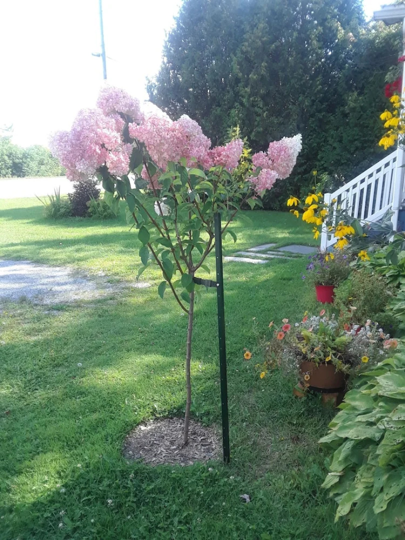 The Little Warm House - bed and Breakfast for Rent