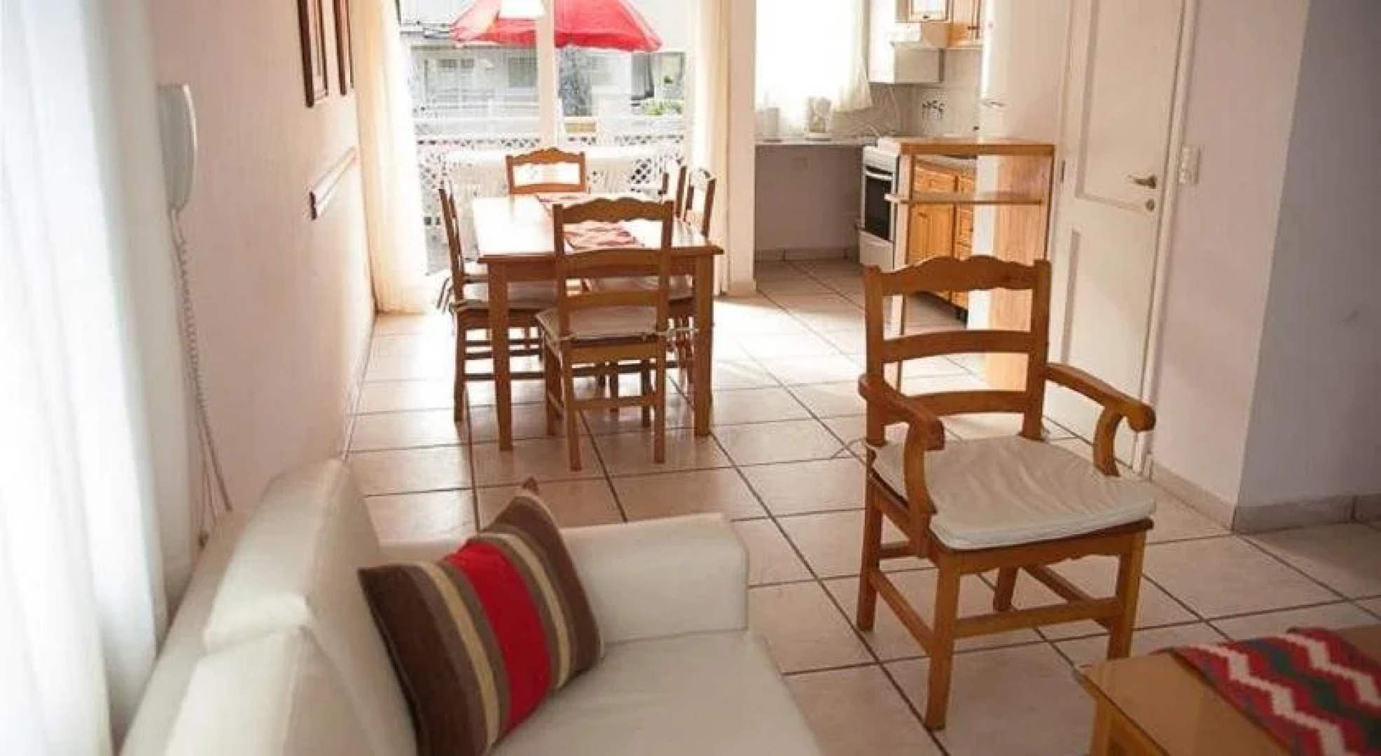 Arbol del Cielo Carilo