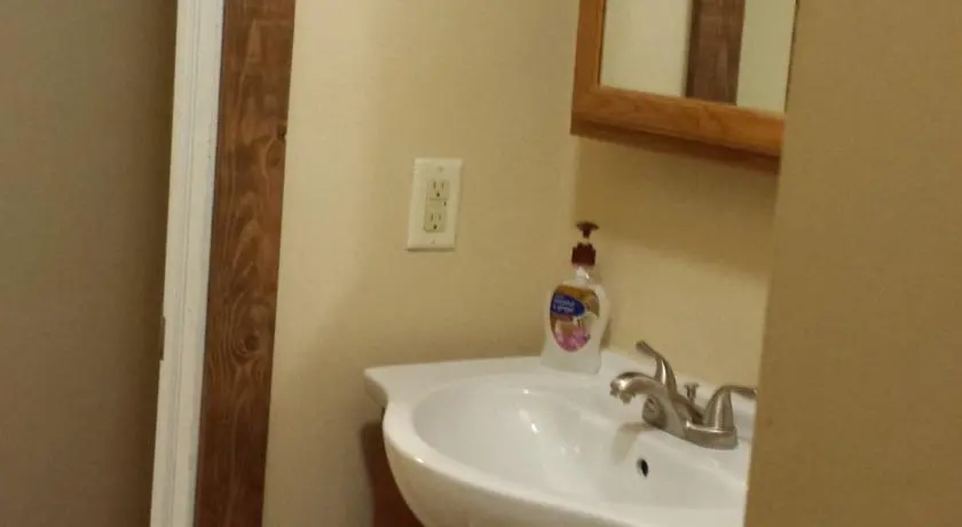 Ski / Hike / Bike / Sleep - Seneca Trail Snowshoe