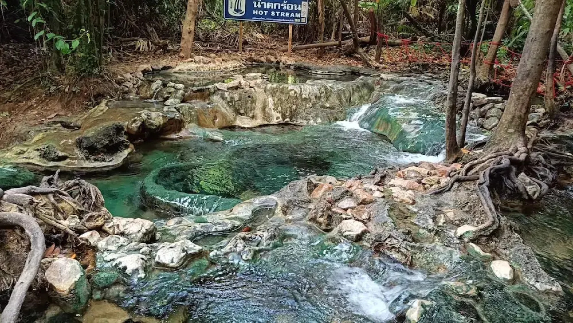 Brown Andaman  Krabi