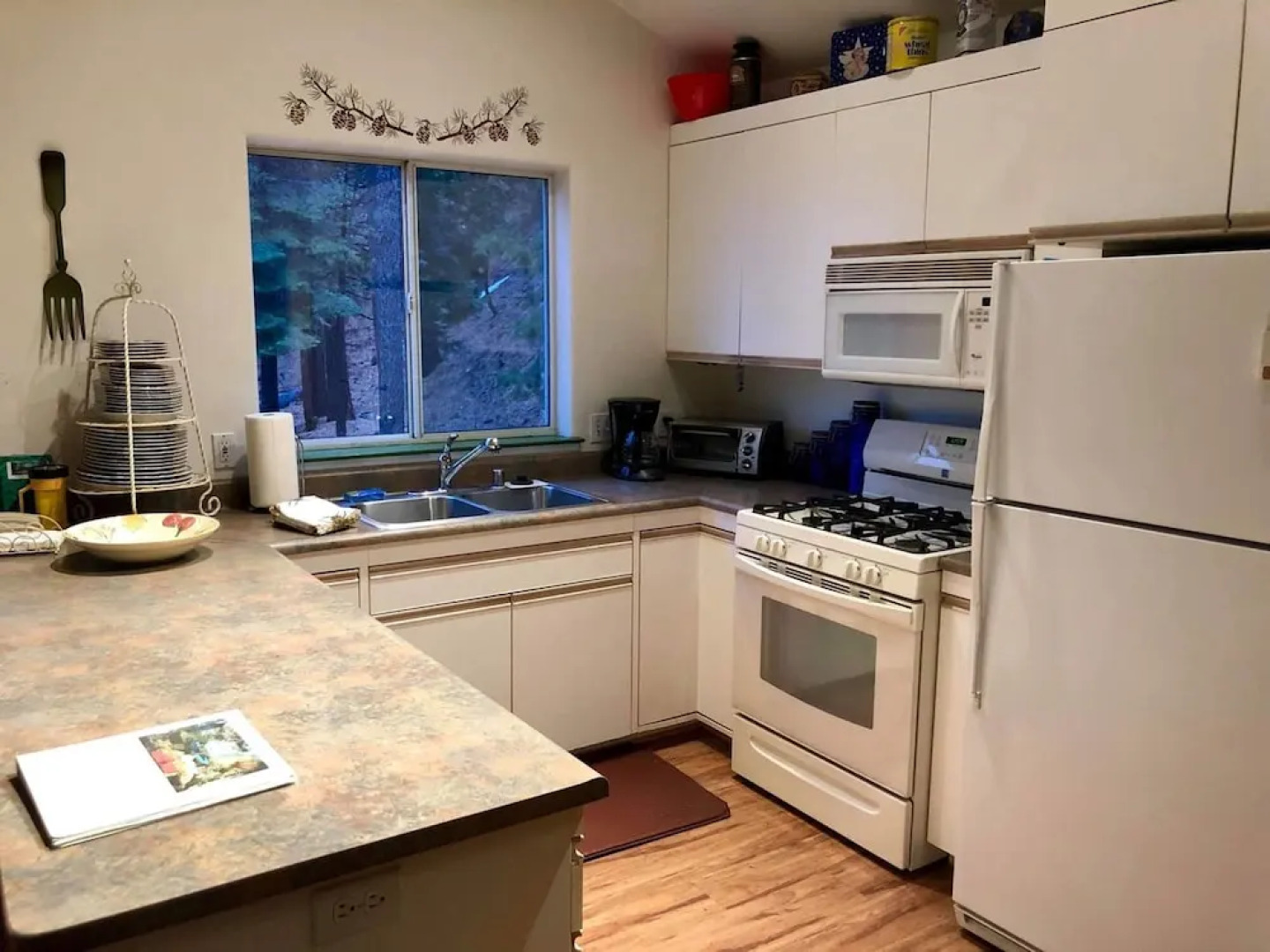 Cabin in the Pines - B