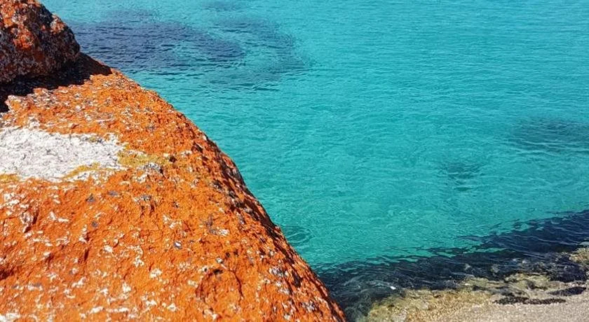 Bed in the Treetops Bed & Breakfast