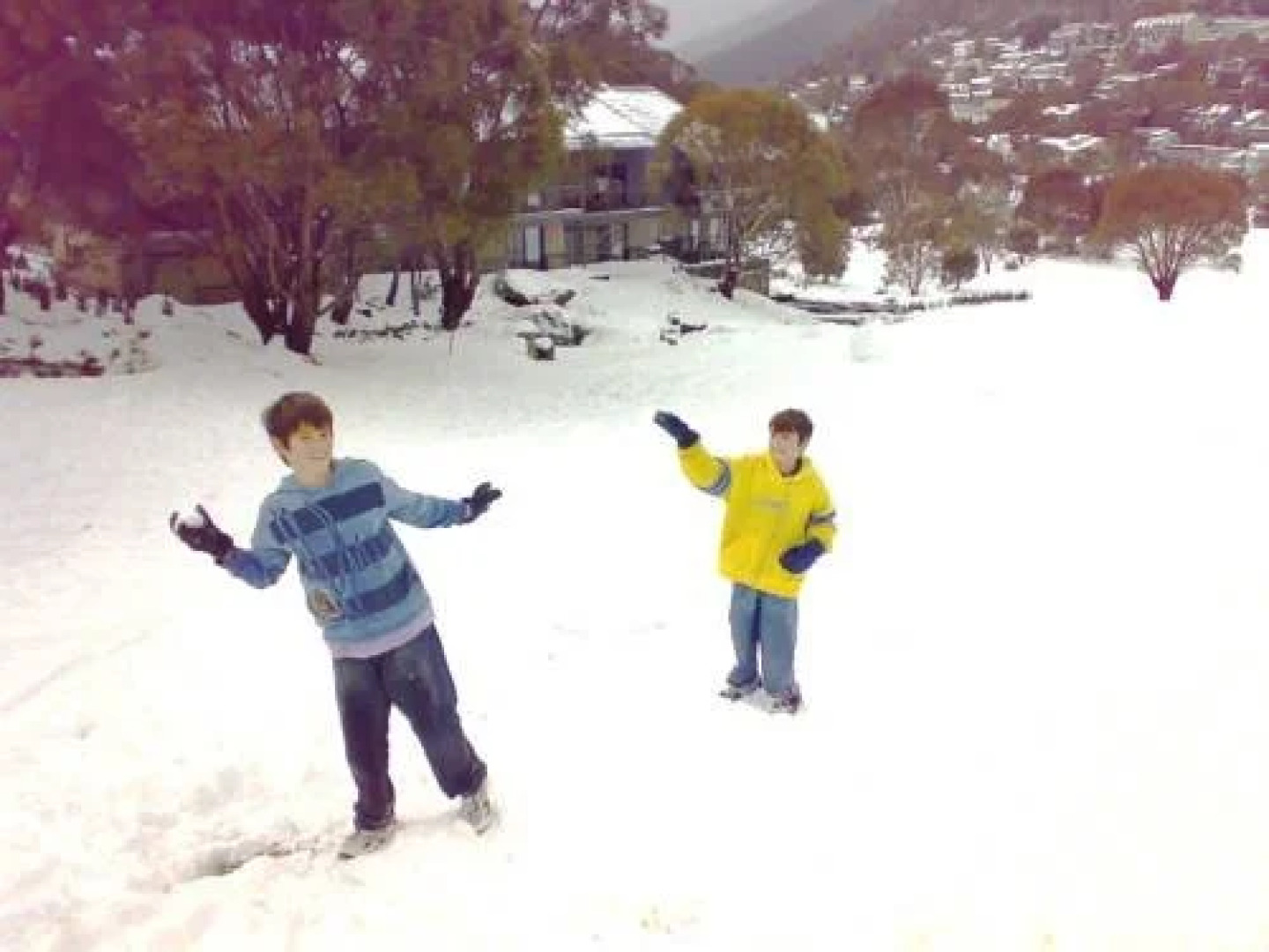 Snowbound Managed Chalets