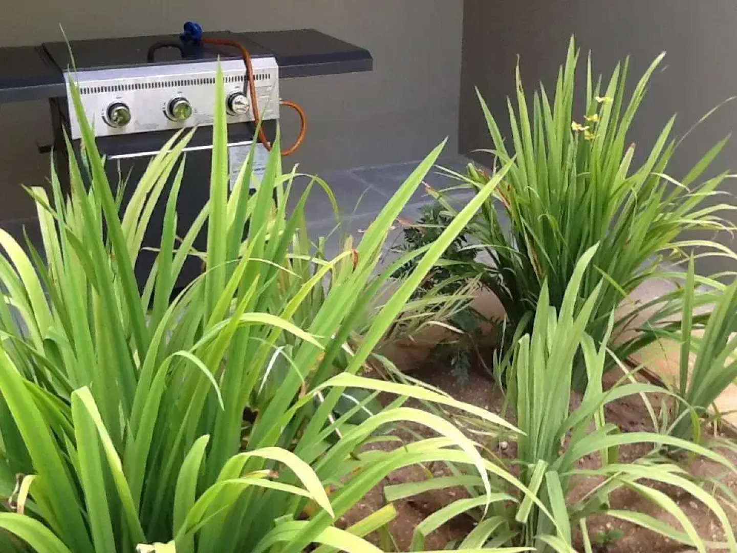 Residence Praslinoise