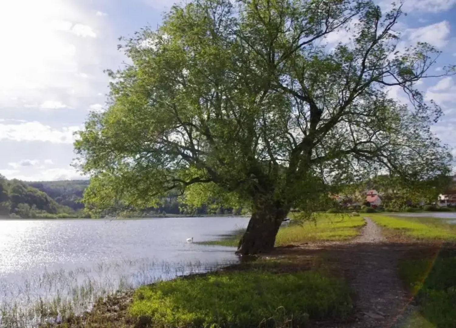 Ferienhaus in Hessen mit Grossem Garten